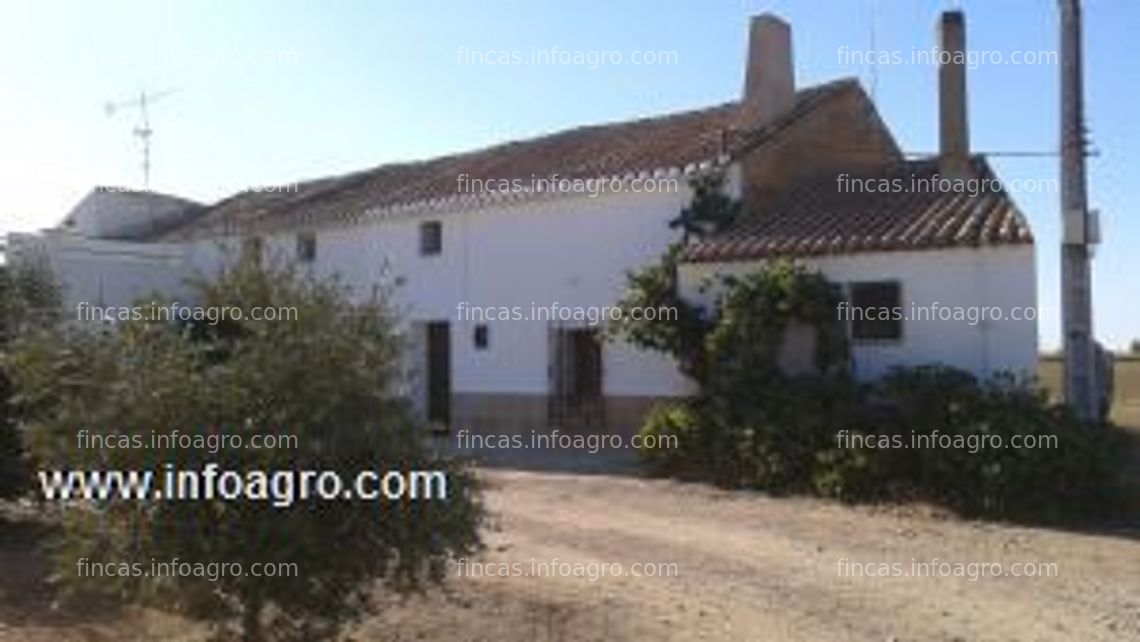 Fotos de A la venta terreno y casa en santa ana, albacete