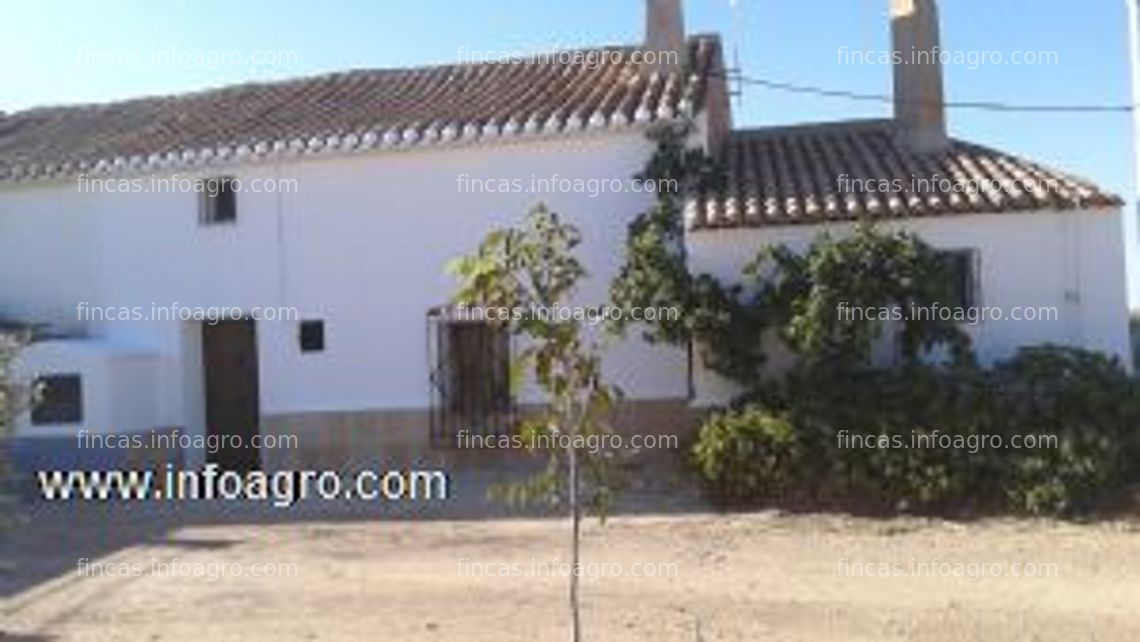 Fotos de A la venta terreno y casa en santa ana, albacete