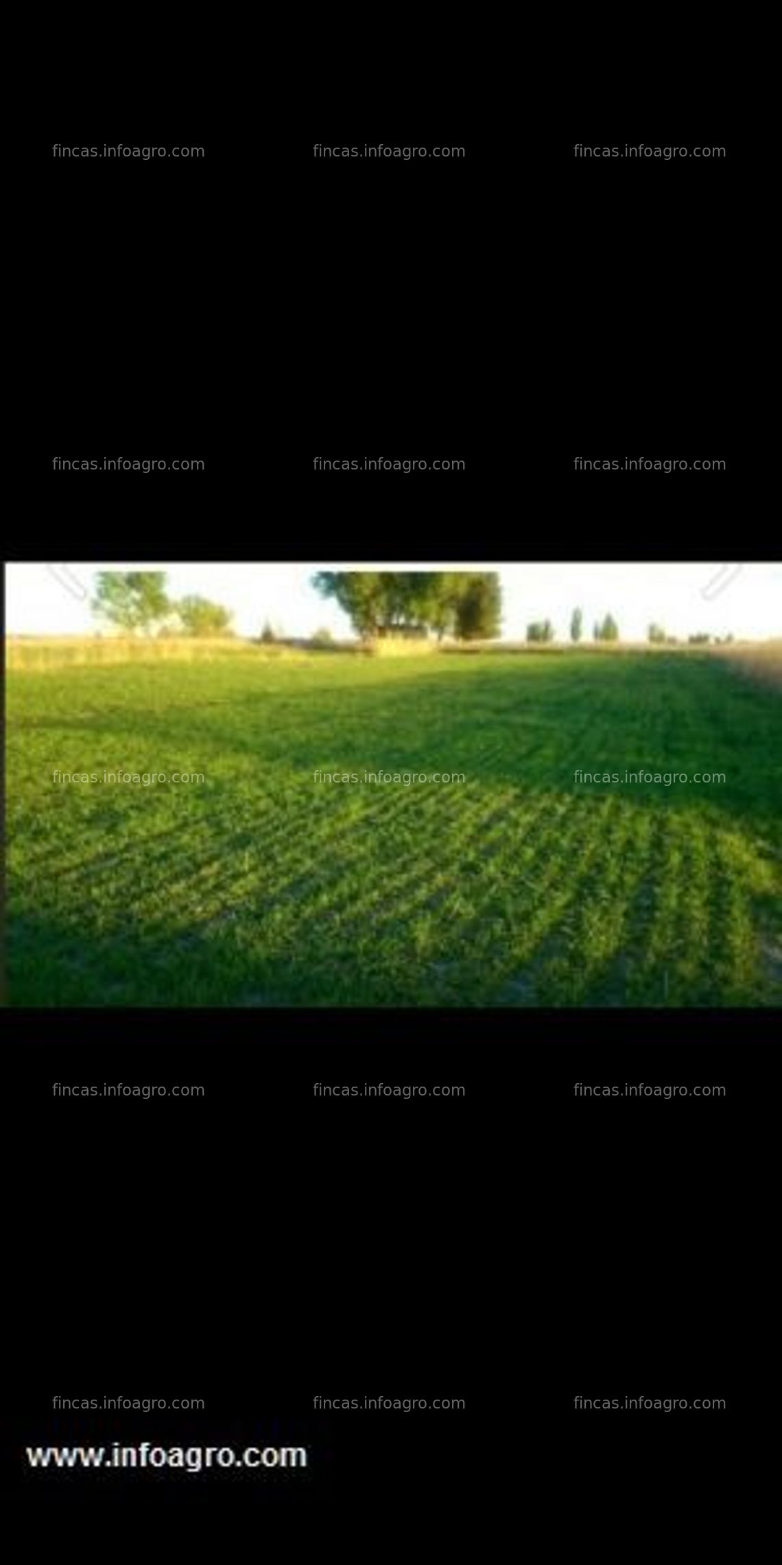 Fotos de Vendo finca rústica los prados - el provencio