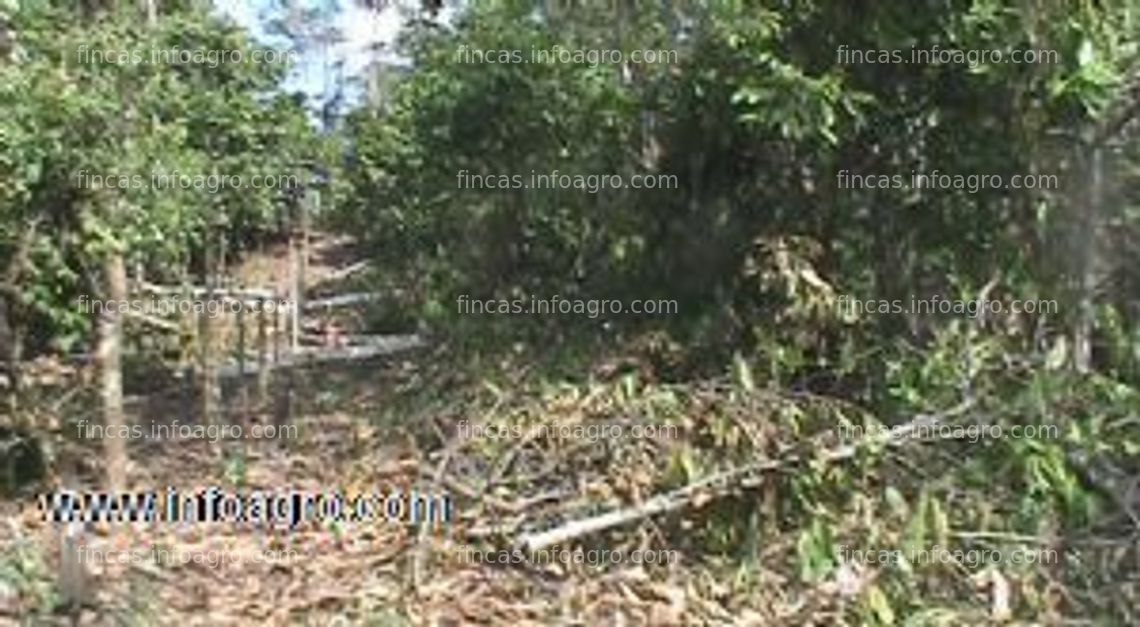 Fotos de Se vende terreno rural