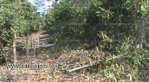 Se vende terreno rural