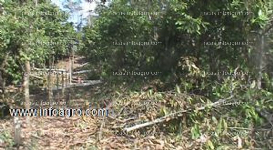 Fotos de Se vende terreno rural