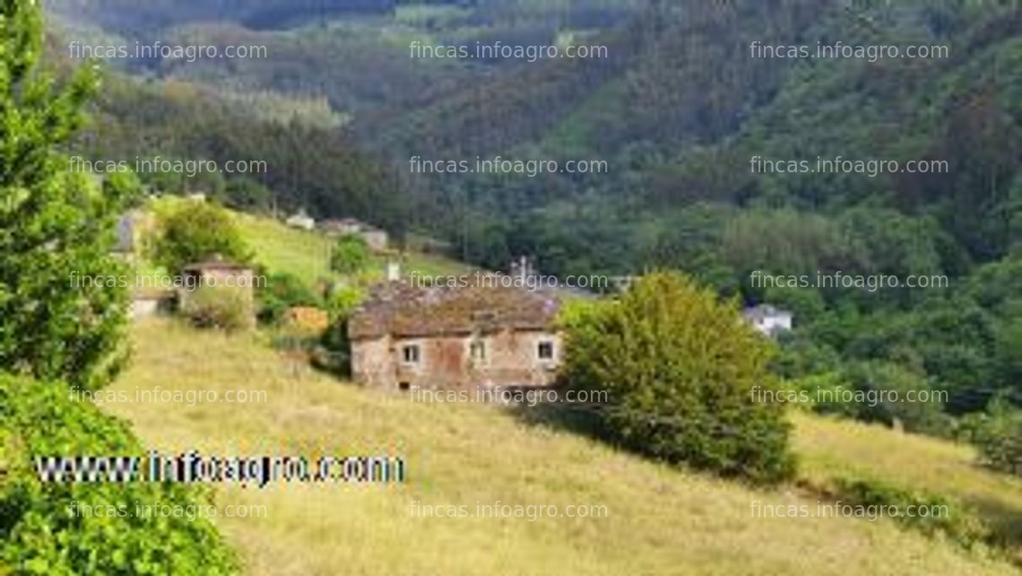 Fotos de A la venta casa y finca