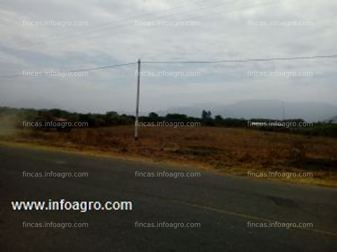 Fotos de En venta  terrenos para agroindustria motupe olmos.