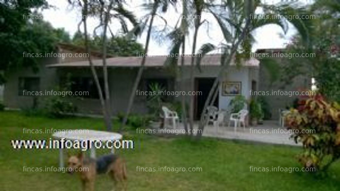 Fotos de En venta  terrenos para agroindustria motupe olmos.