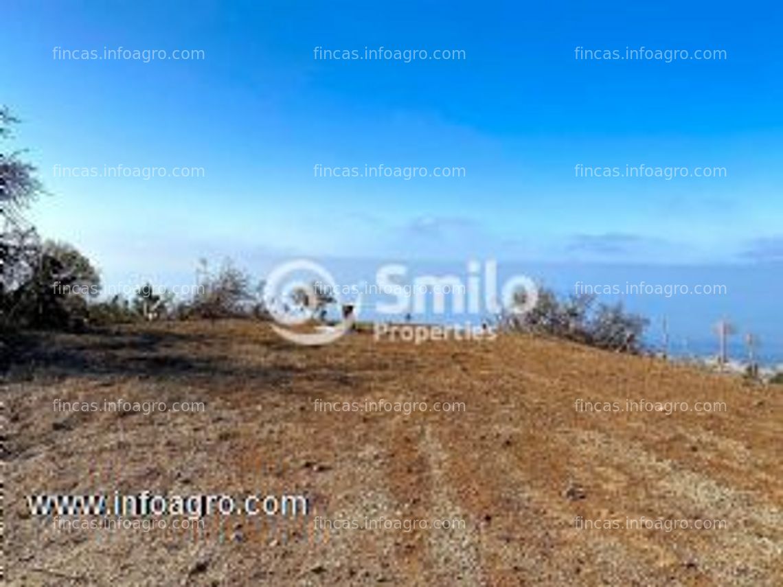 Fotos de A la venta finca agrícola con 16.000 m2 de terreno con un almacén agrícola.