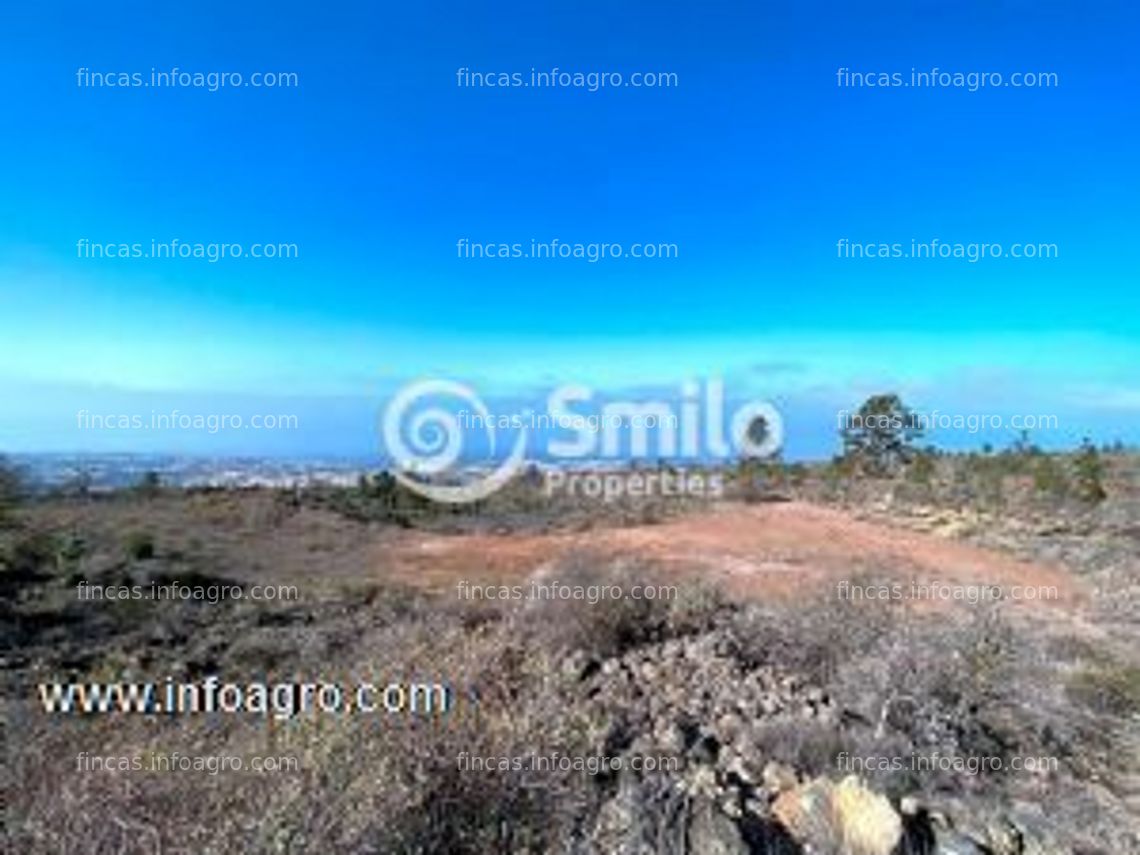 Fotos de A la venta finca agrícola con 16.000 m2 de terreno con un almacén agrícola.