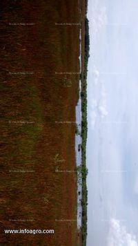 Fotos de Vendo rancho en candelaria, campeche, méxico