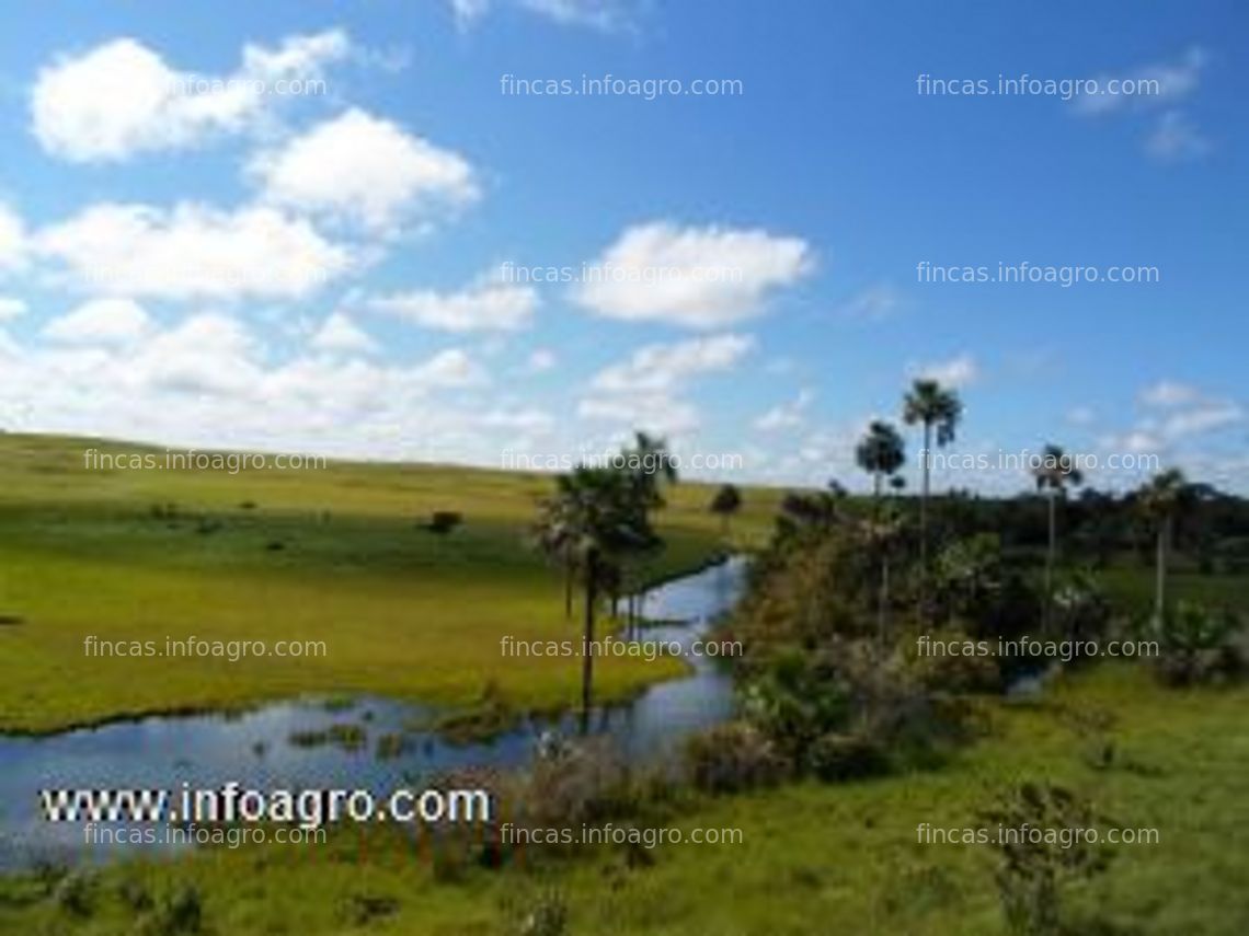 Fotos de Se vende finca de 17723 hectáreas colombia