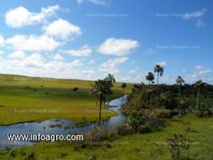 Se vende finca de 17723 hectáreas colombia