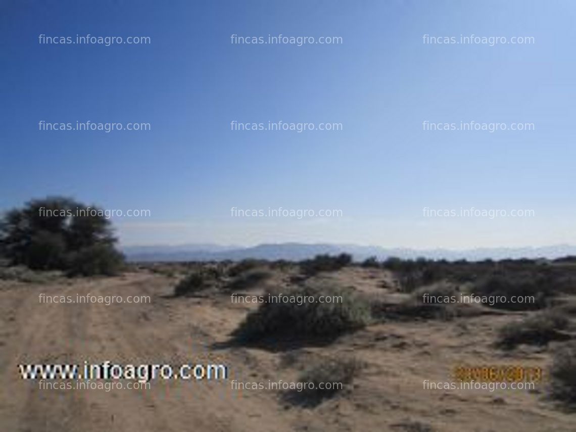 Fotos de A la venta terreno rural rustico, en carrizal alto, vallenar 15 hectáreas