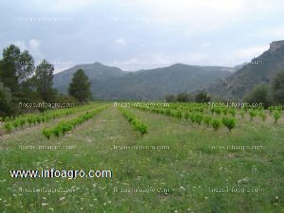 Fotos de En venta  terreno ribera ebro con agua gratis, proyecto de hotel rural, masias a reformar, cultivos, bosque.