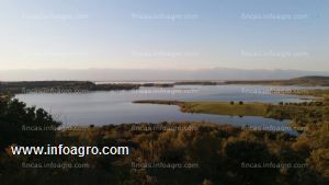 Vendo espléndida finca junto al embalse de valdecañas.