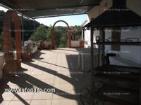 Fotos de A la venta olivar, 7 ha