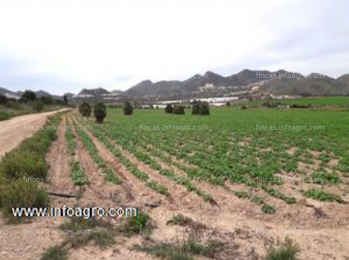 Fotos de Vendo terreno agrícola de regadio 4,28 ha.