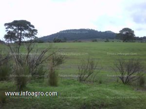 A la venta 940has. sobre autopista mexico-cuernavaca