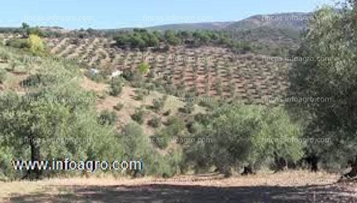Fotos de A la venta preciosa dehesa junto al parque natural de sierra nevada