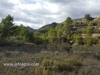 Fotos de A la venta terreno en sella10000 metros
