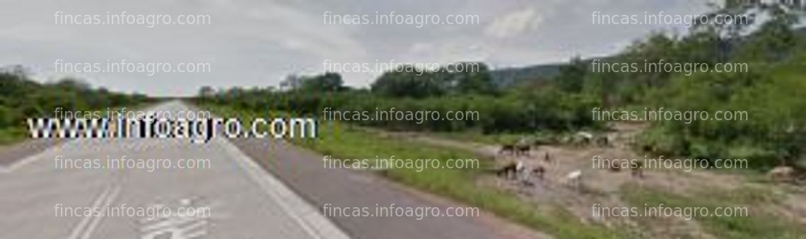 Fotos de Vendo finca agricola/industrial sobre la bioceanica