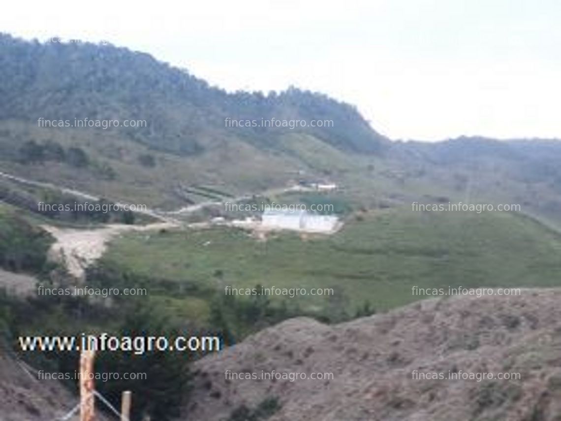 Fotos de Vendo finca ubicada en concepción antioquia