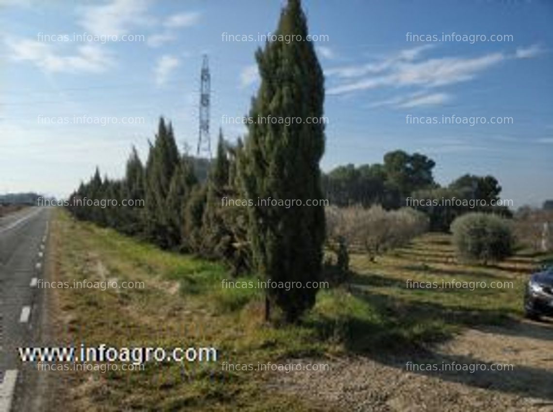 Fotos de En venta  terreno próximo a ciudad a 15min. caminando.  con 200 olivos casita para pasar fin de semana. vallado con tractor y muchos extras por no poder atender por la edad.