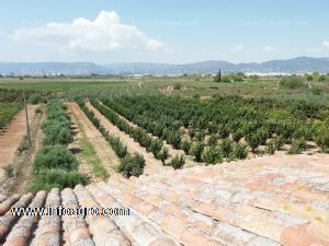 Vendo terreno agricola con edificación