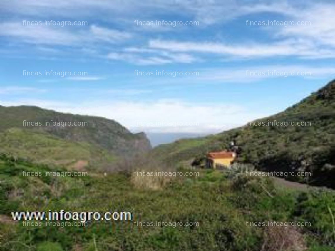 Fotos de Vendo finca en la cumbre de gran canaria