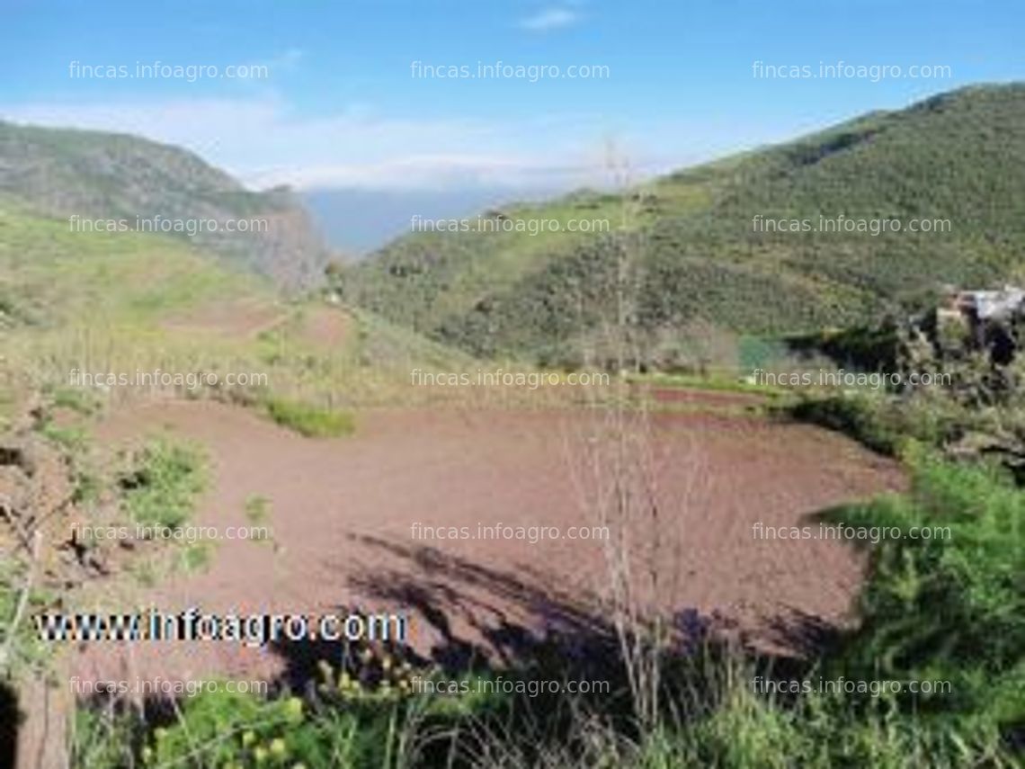 Fotos de Vendo finca en la cumbre de gran canaria