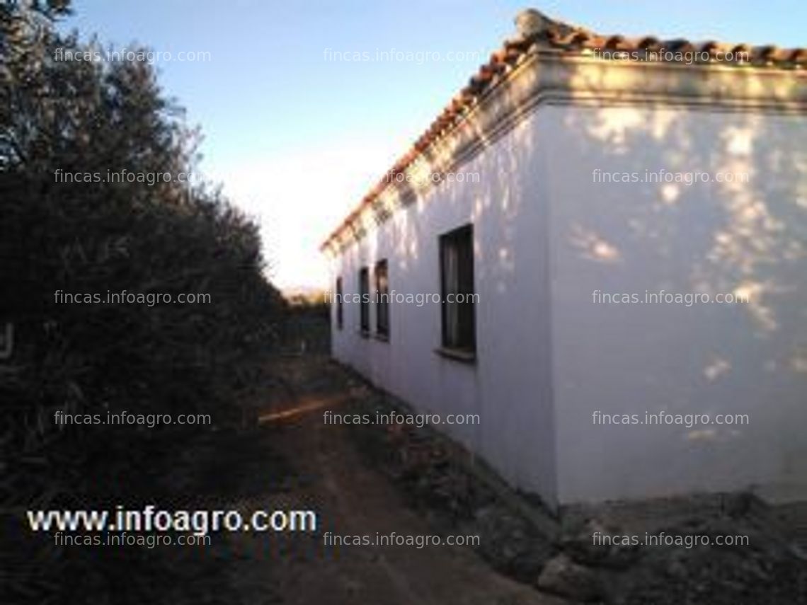 Fotos de A la venta finca con 120 olivos y nave de 130 m2, cuevas del campo. granada