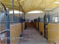 Fotos de A la venta finca 155.000 m2 con instalaciones para la cría y doma