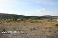 Fotos de A la venta terreno a pie de carretera  a-403