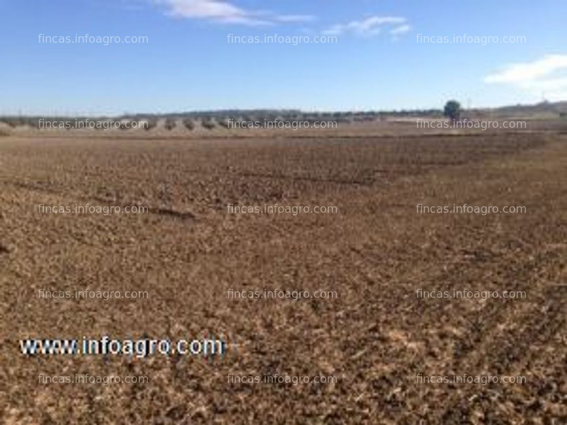 Fotos de En venta  parcela rustica en montroy