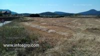 Fotos de En venta  oportunidad terreno industrial y rustico regadio