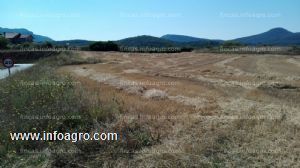 En venta  oportunidad terreno industrial y rustico regadio