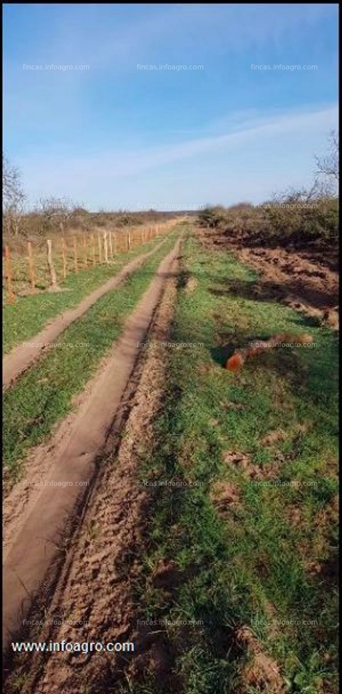 Fotos de Vendo en la pampa argentina 900 hectáreas ganaderas