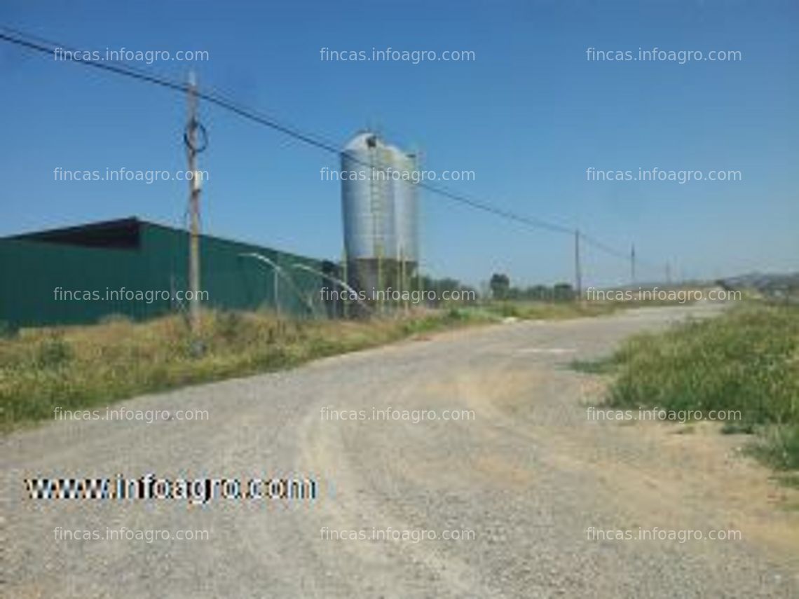 Fotos de A la venta granja de pollos con terreno