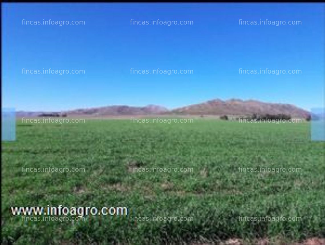 Fotos de Se vende finca agrícola de 233 hectáreas en argentina - informes en españa