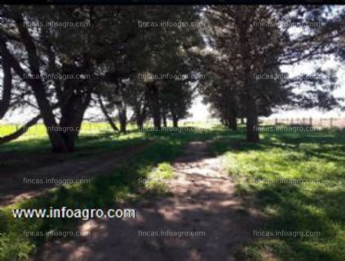 Fotos de Se vende finca agrícola de 233 hectáreas en argentina - informes en españa