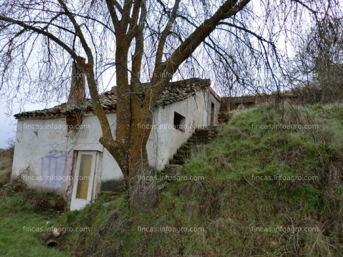 Fotos de Se vende finca terreno matarrubia guadalajara