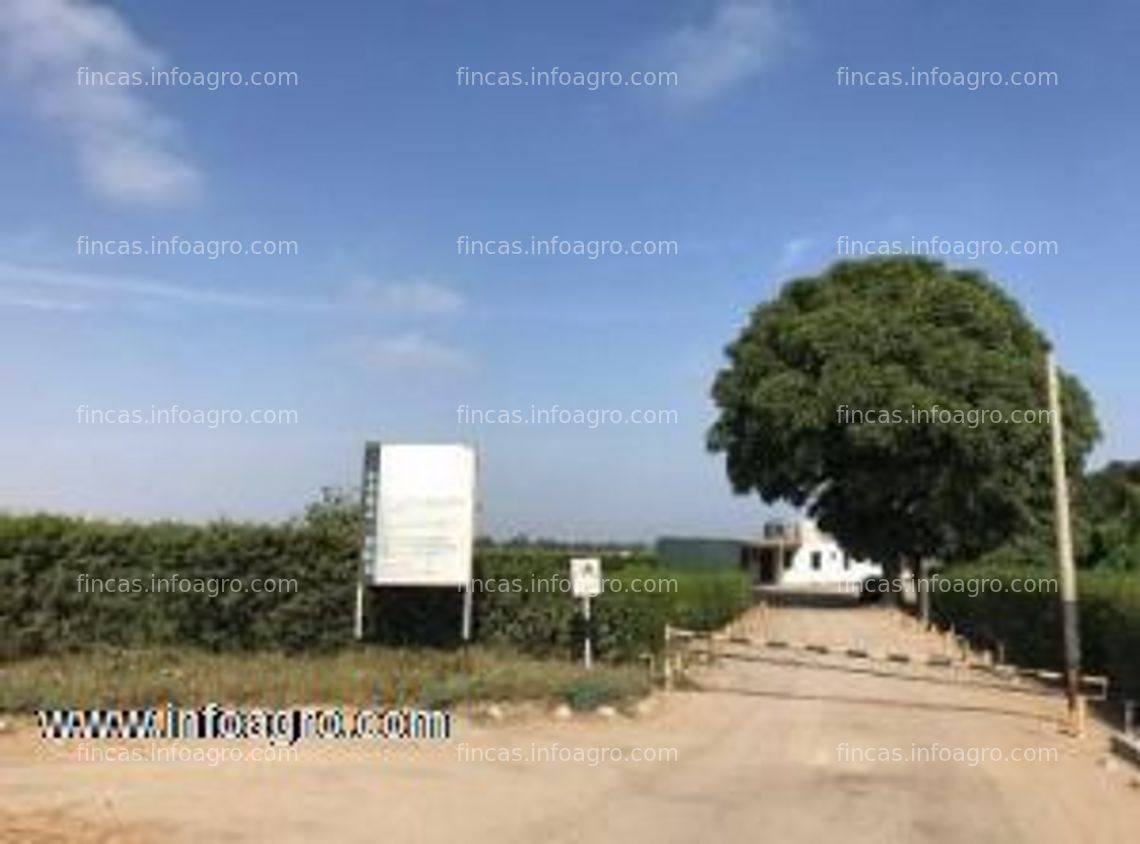 Fotos de Se vende fundo agricola de 20.66 hectareas, con pozo con licencia