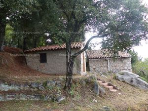 En venta  masiá renovada dentro del parque natural del montseny.