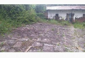En venta fundo-semiurbano-agrícola (23 has) 690,000 soles todo el fundo (negociable)