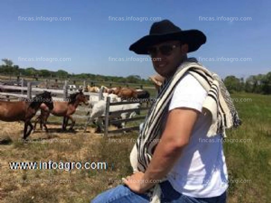 Fotos de Vendo 5469 ha de tierra agrícola en puerto gaitan, colombia