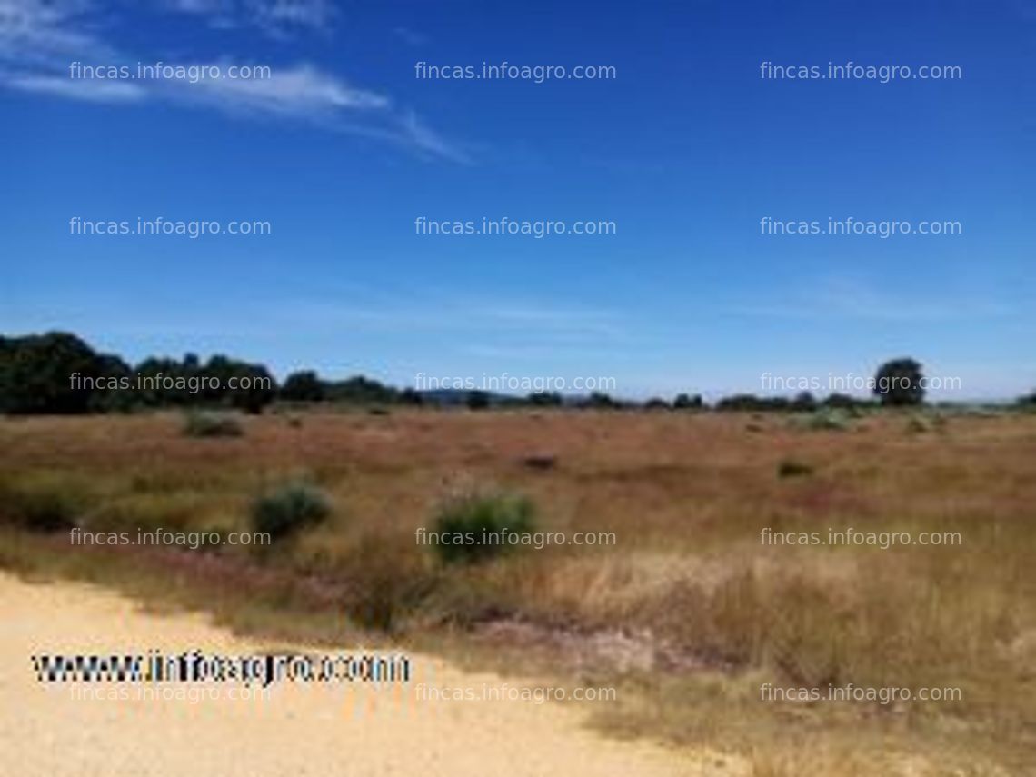 Fotos de A la venta finca rustica (cional)