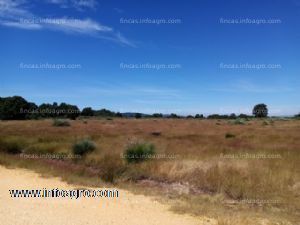 A la venta finca rustica (cional)