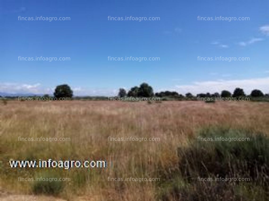 Fotos de A la venta finca rustica (cional)