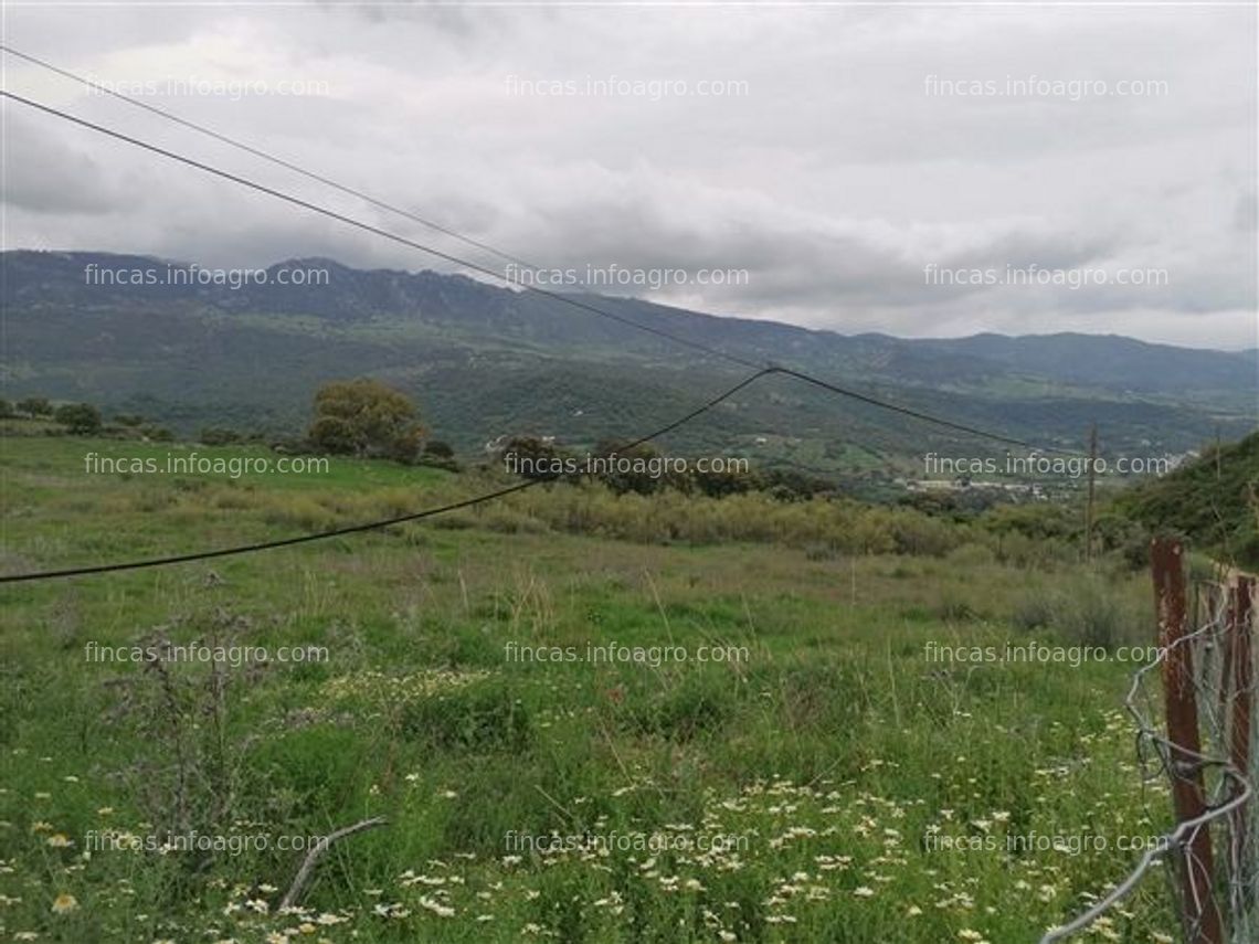 Fotos de En venta  ref. 28 - parcela rústica en cortes de la frontera, valle del guadiaro, málaga, andalucia