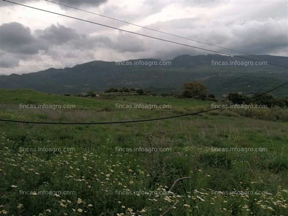 Fotos de En venta  ref. 28 - parcela rústica en cortes de la frontera, valle del guadiaro, málaga, andalucia