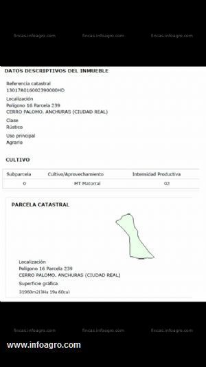 En venta  parcela de secano en valgordo, ciudad real