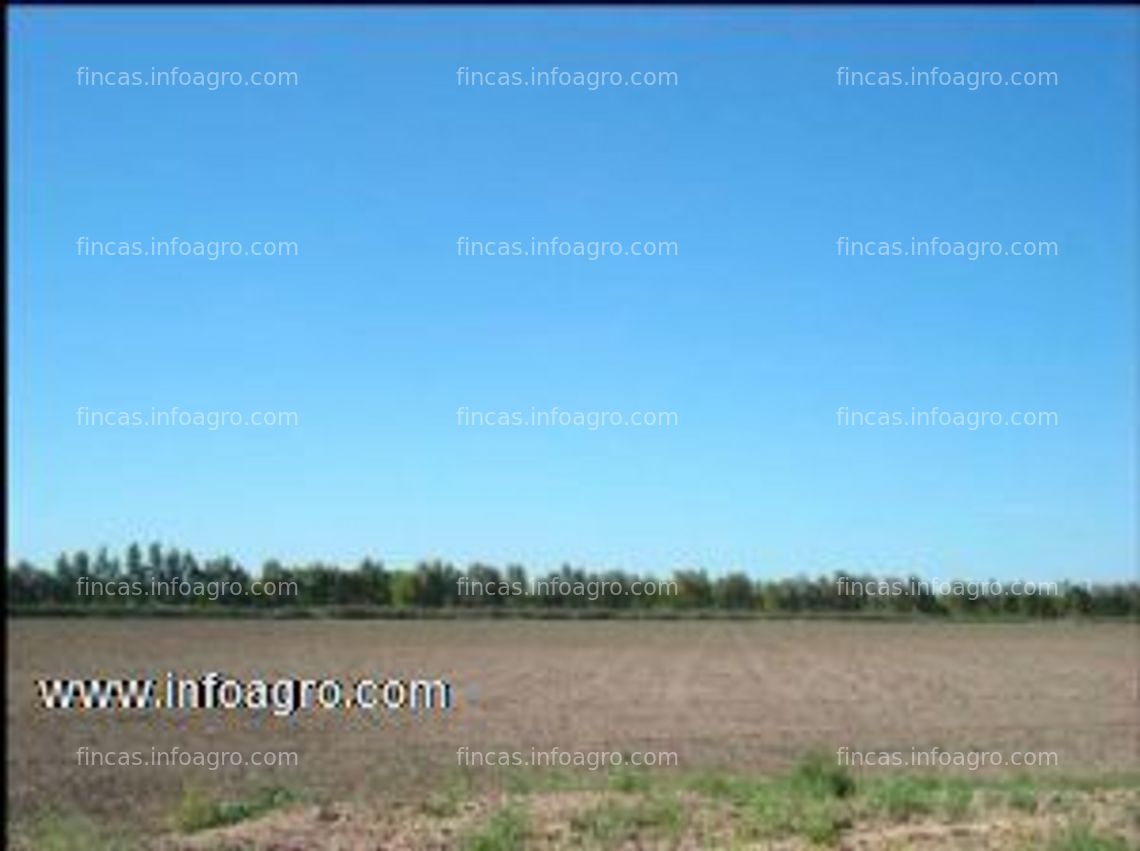 Fotos de A la venta en  la patagonia argentina 306 hectáreas bajo riego